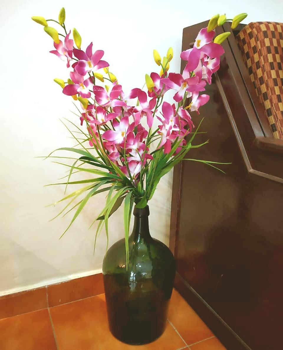 Diana Apartments Candolim Kültér fotó